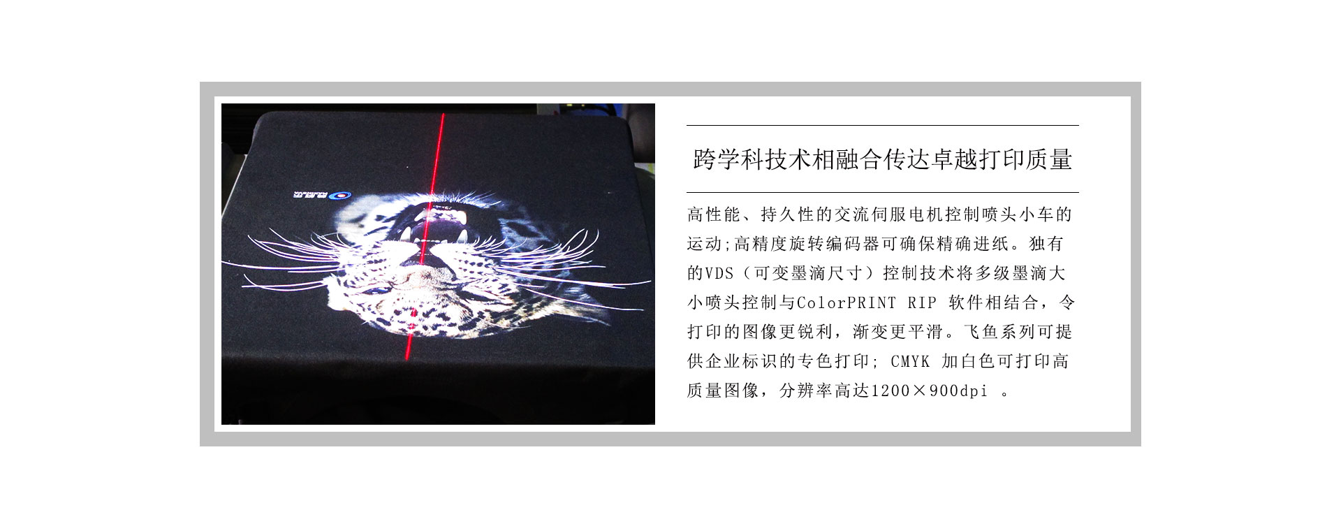 飛魚（T恤/裁片）數碼印花機