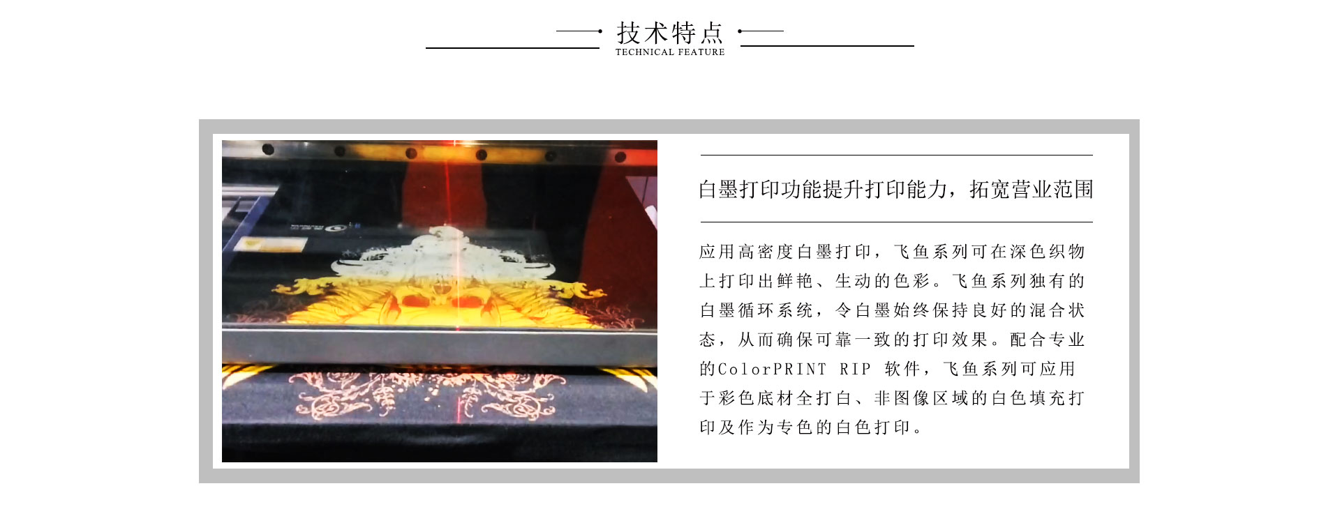 飛魚（T恤/裁片）數碼印花機