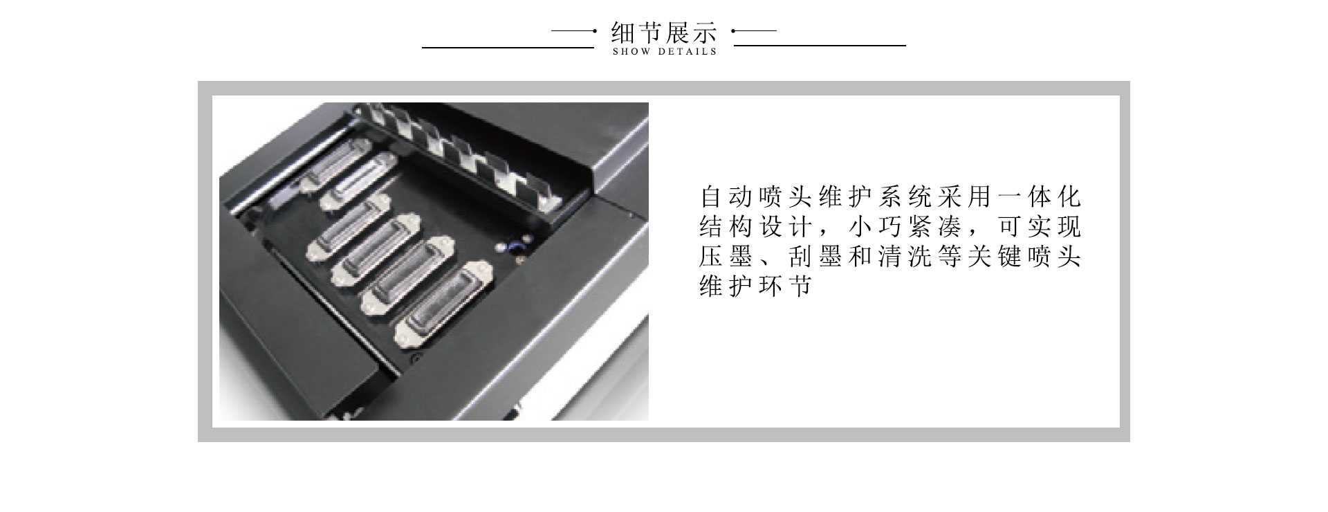 飛魚（T恤/裁片）數碼印花機